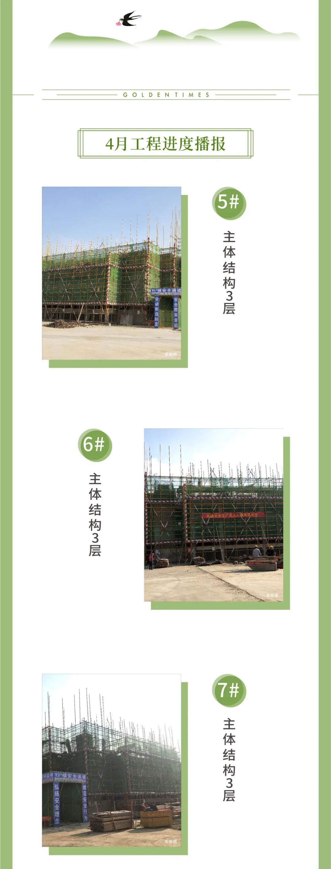 恒泰琉金岁月