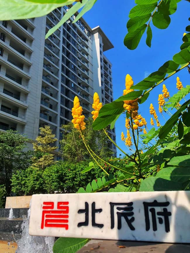 北辰府