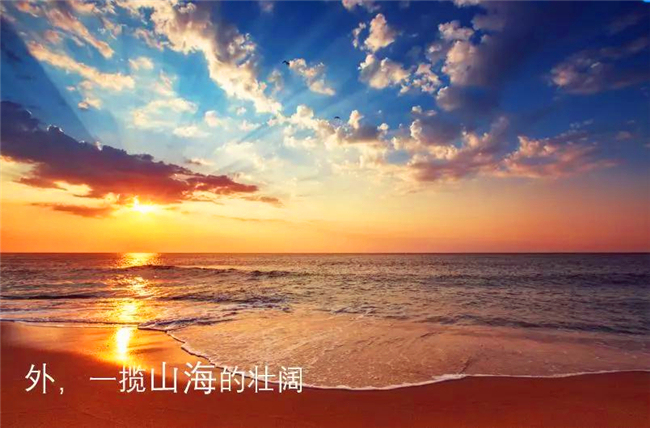 （图片来源于网络）