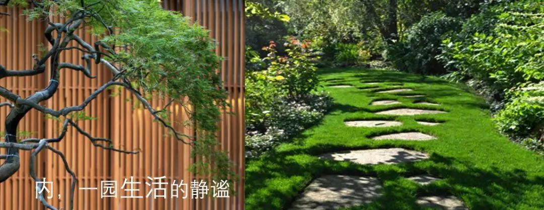 （图片来源于网络）