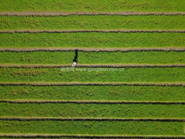 富力悦海湾实景图