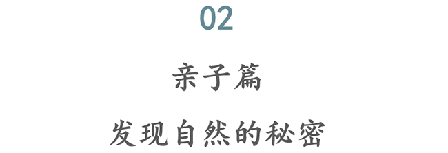 8.png?x-oss-process=style/web_png_style