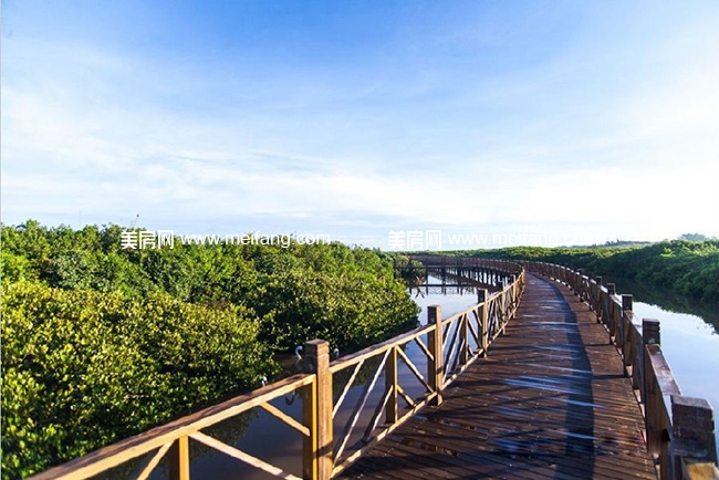 富力红树湾湿地公园