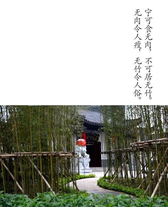 14项目实景拍摄.jpg