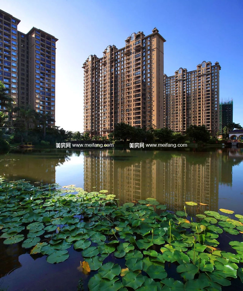 实景图