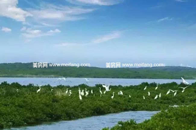 17项目实景拍摄.jpg