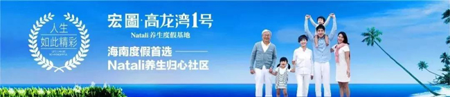 宏图高龙湾1号宣传图