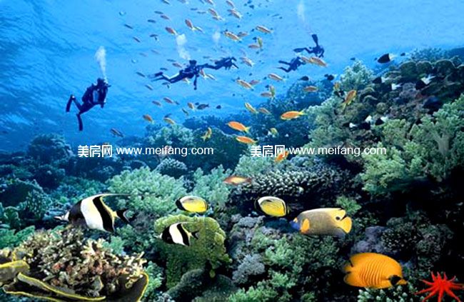 潜水