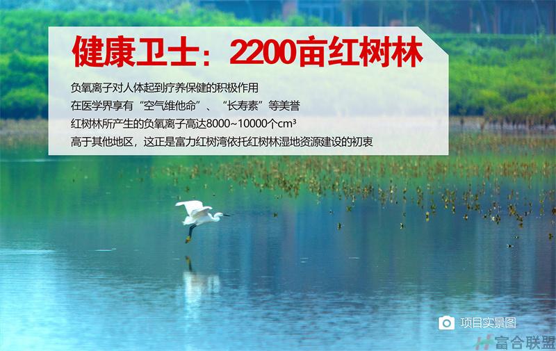 1638669586801483.jpg