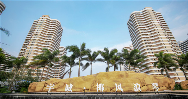 海南椰风浪琴现在价格多少？