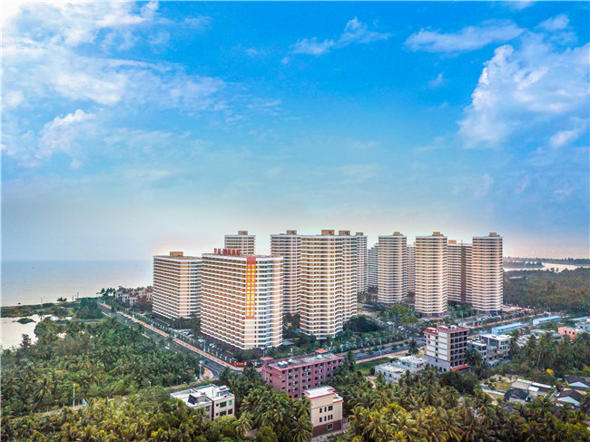 海南椰风浪琴现在价格多少？