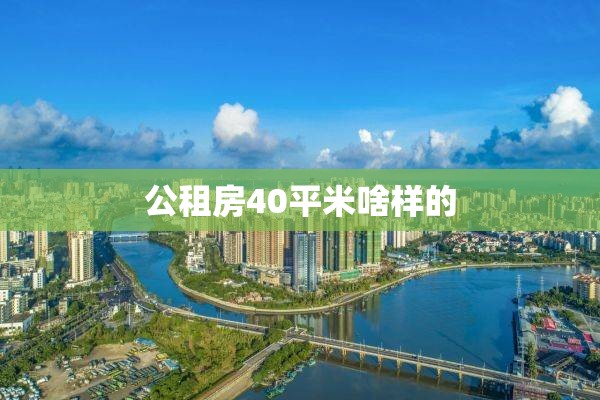 公租房40平米啥样的